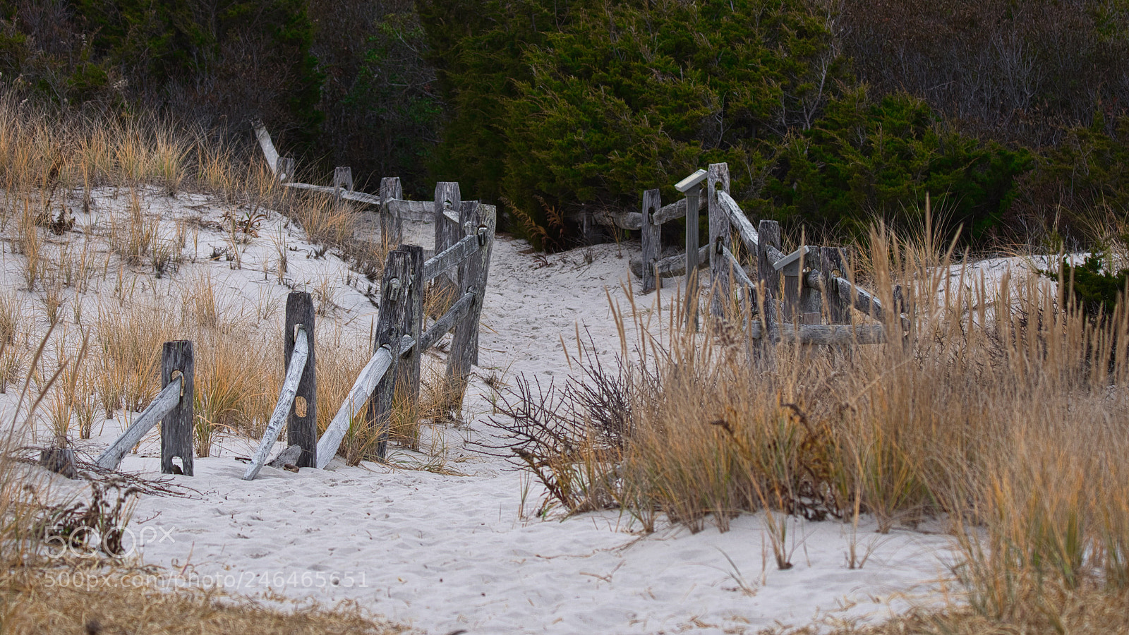Nikon D5600 sample photo. Island beach state park photography