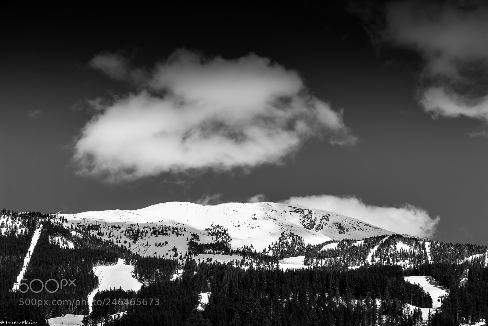 Nikon D610 sample photo. Black & white photography