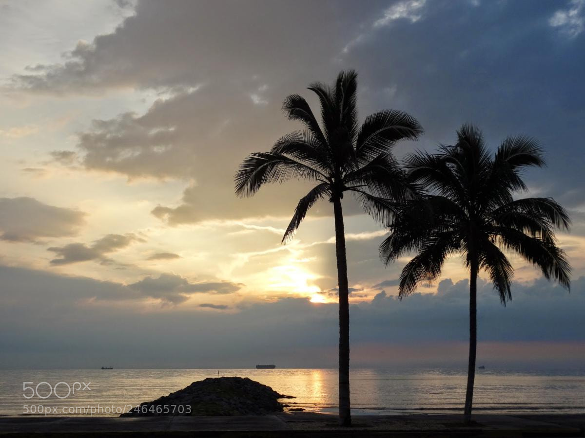 Sony Cyber-shot DSC-HX300 sample photo. Bule photography