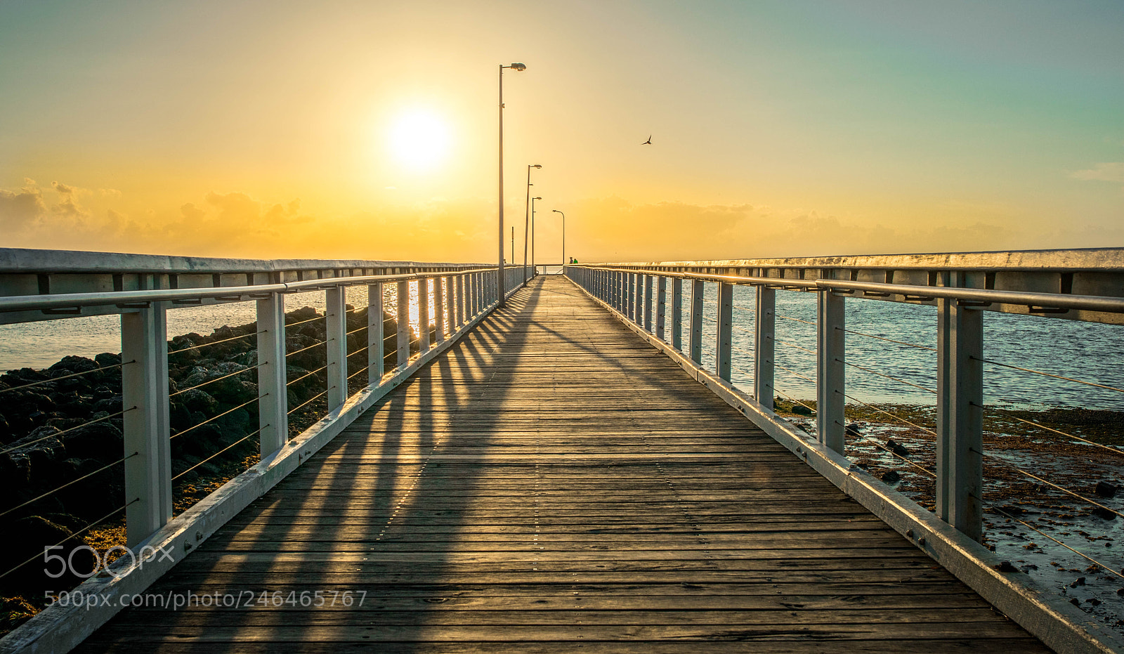 Nikon D3400 sample photo. Warm mornings photography