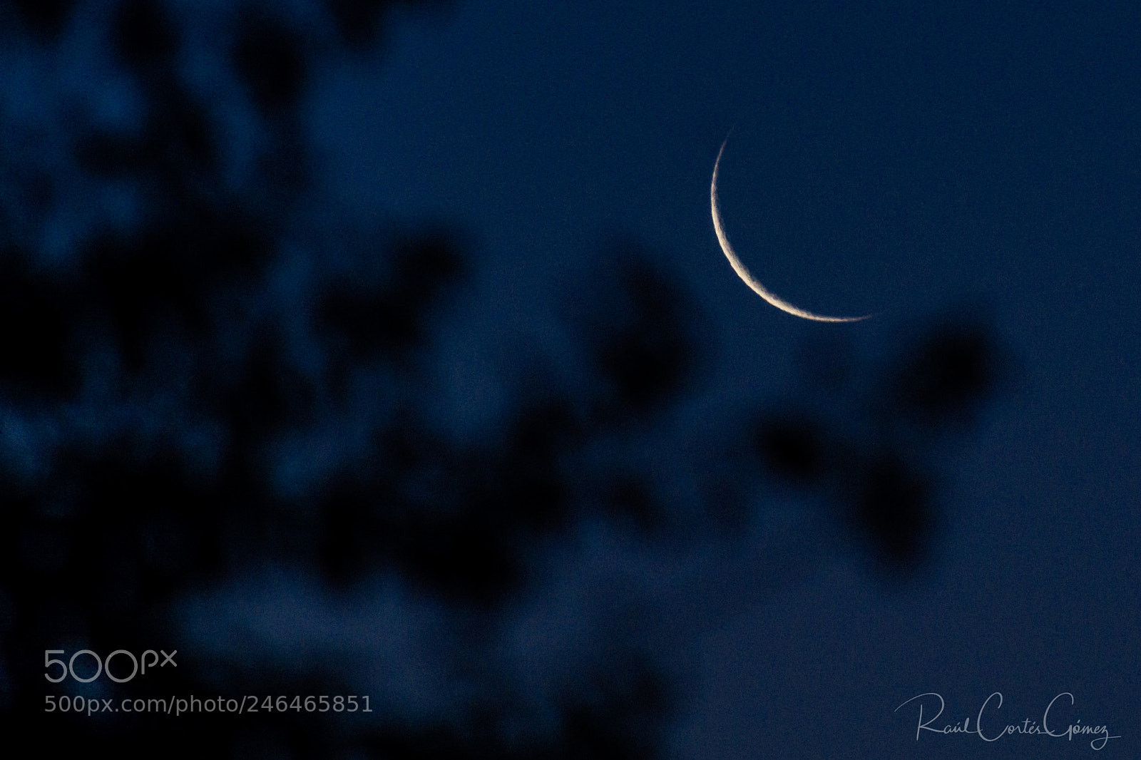 Nikon D7100 sample photo. Luna nueva photography