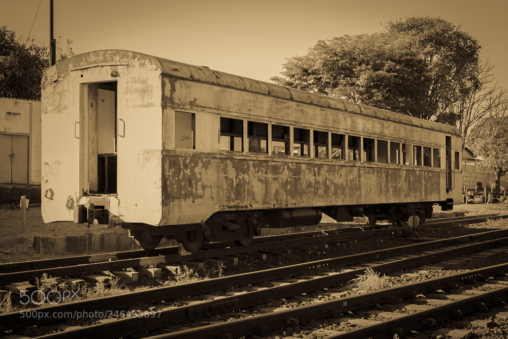 Canon EOS 700D (EOS Rebel T5i / EOS Kiss X7i) sample photo. Old photography