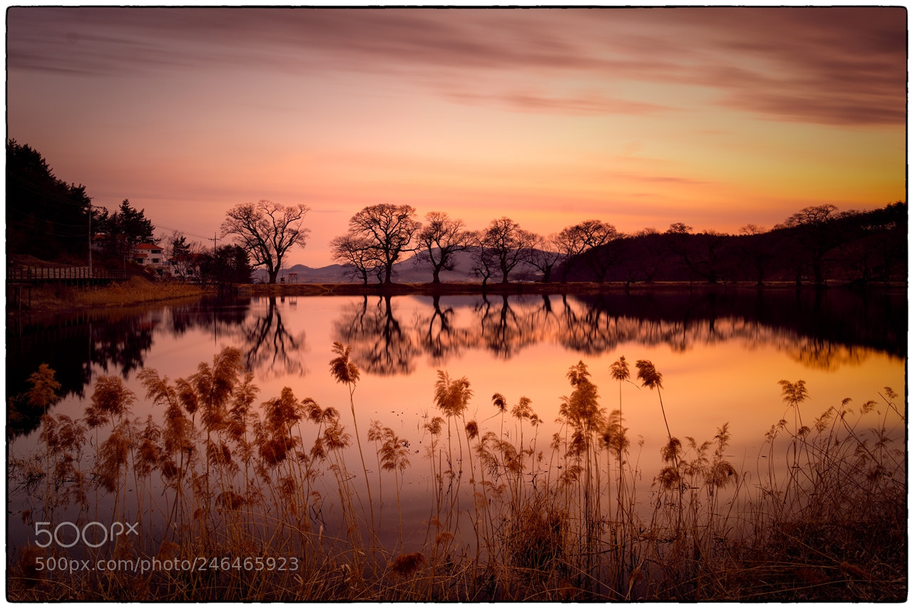 Sony a7R II sample photo. Reflections in a small photography