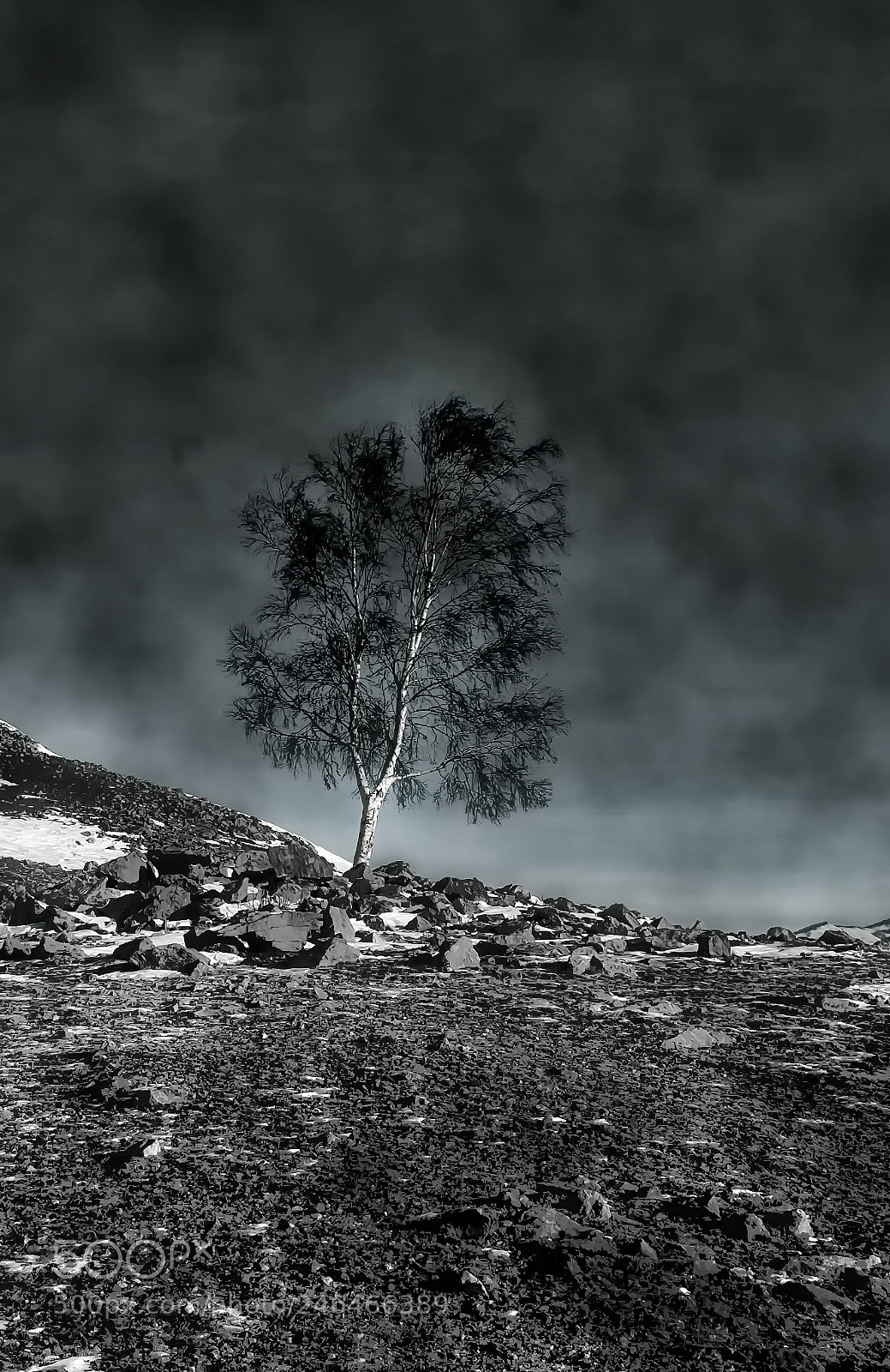Nikon D40 sample photo. One among the stones photography