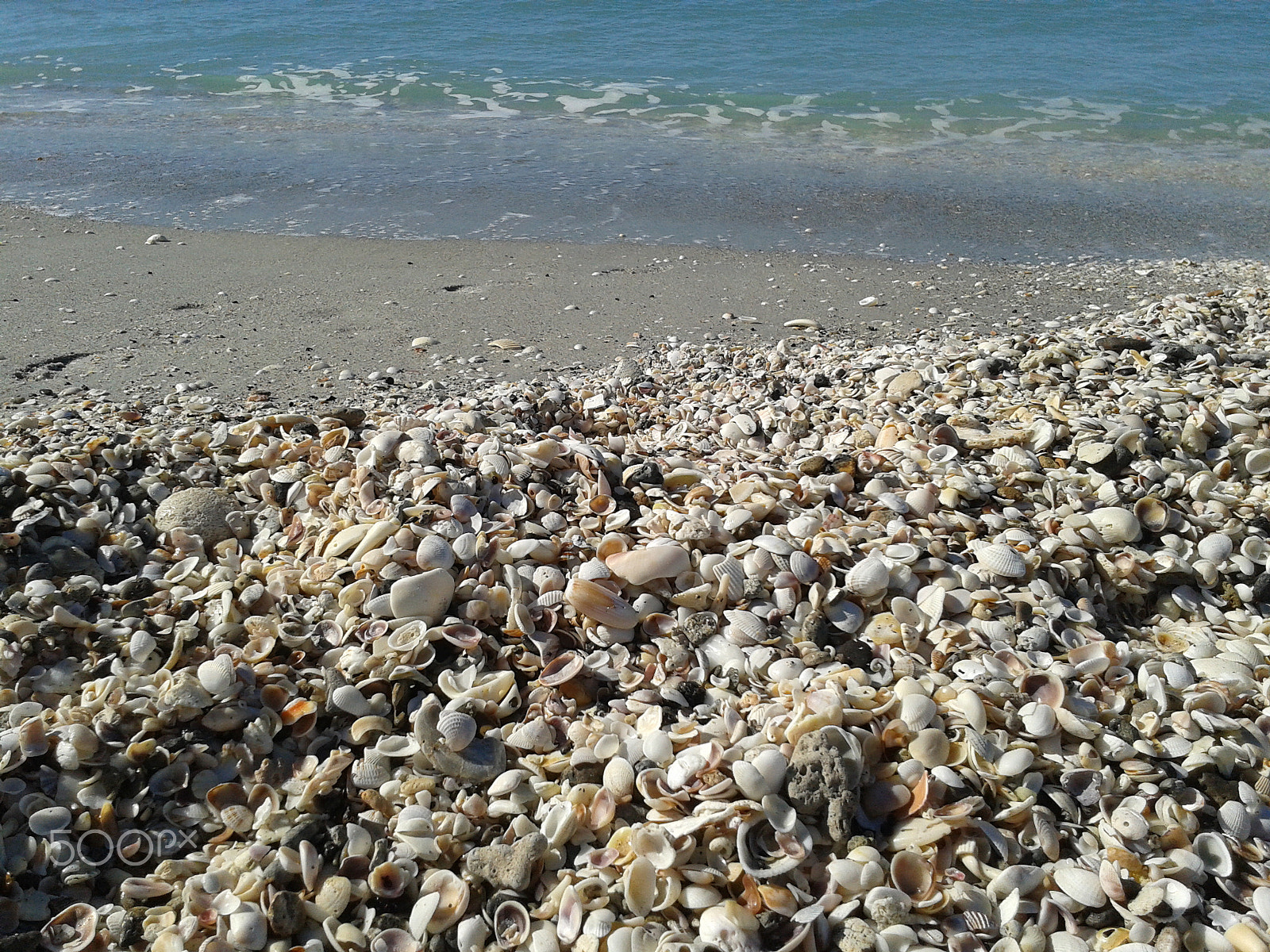 Samsung Galaxy S Stratosphere sample photo. Piles of shells on the shore photography