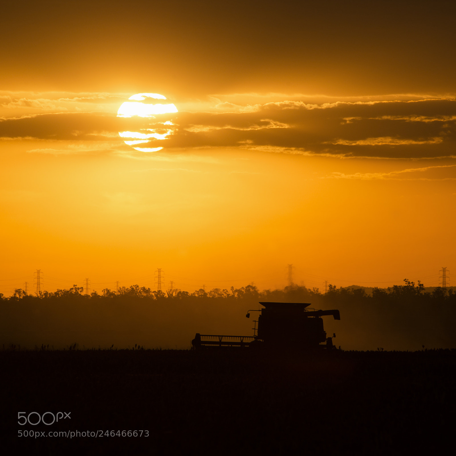 Nikon D800 sample photo. Agriculture machine harvesting field. photography
