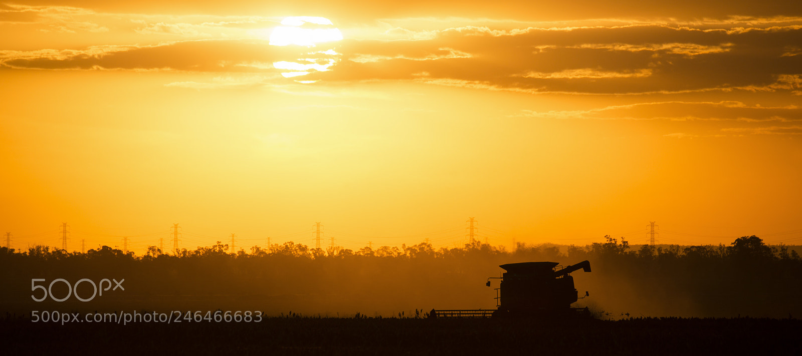 Nikon D800 sample photo. Agriculture machine harvesting field. photography