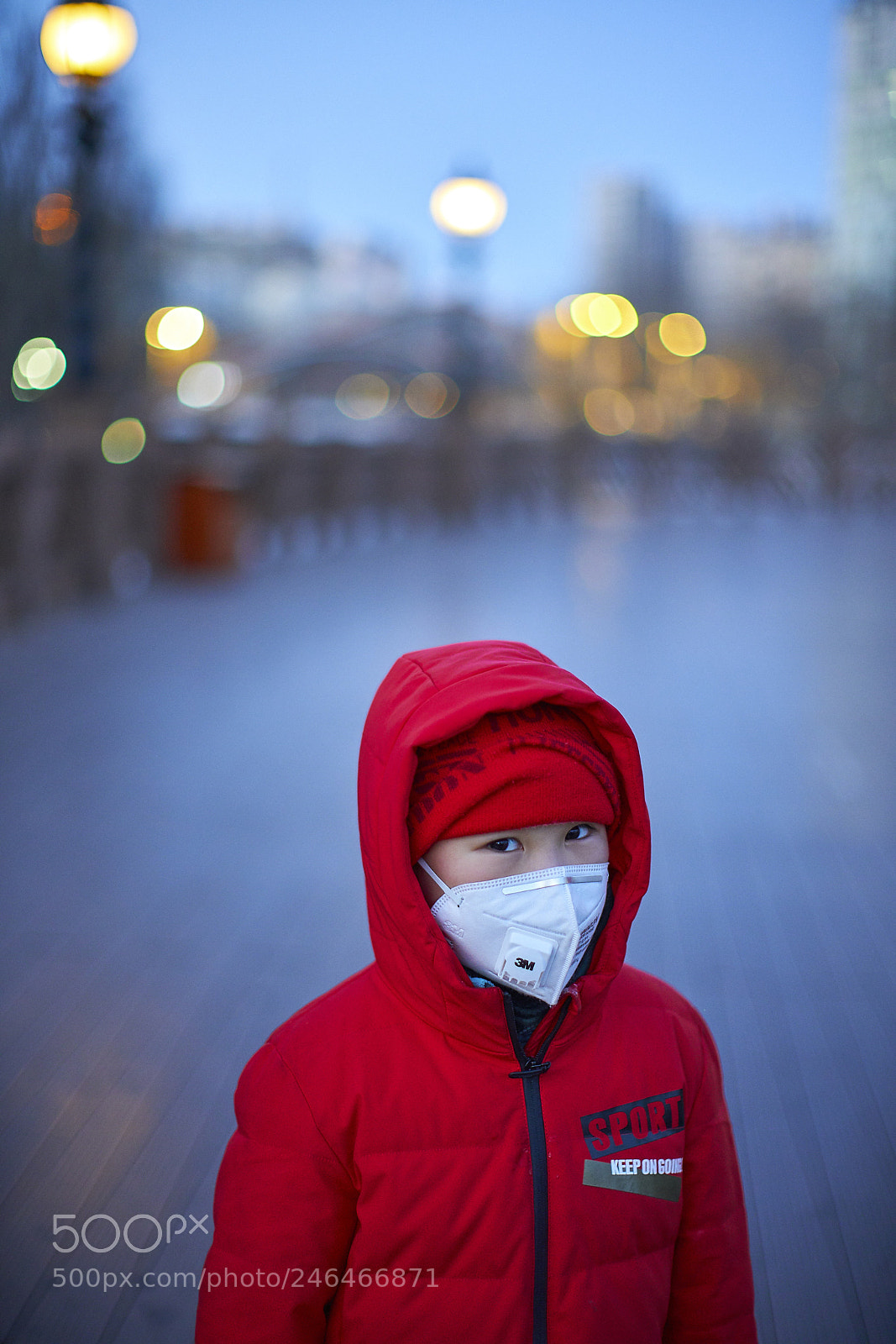 Sony a7R II sample photo. 3m photography