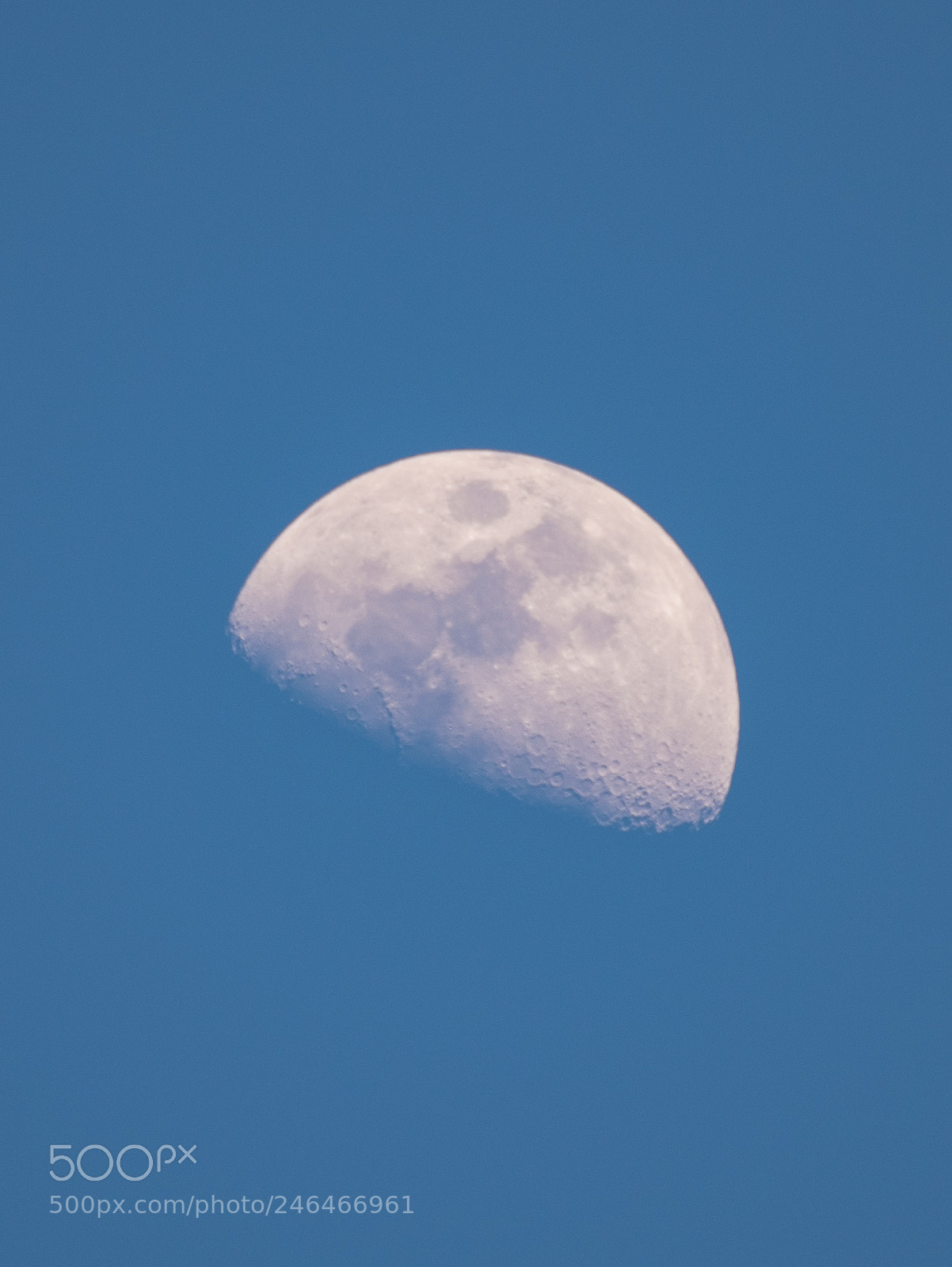 Nikon D500 sample photo. Half moon photography
