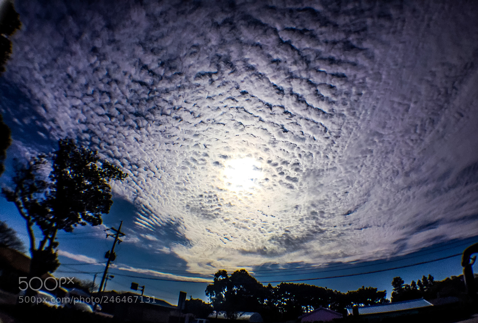 Apple iPhone 6 Plus sample photo. Cloud photography