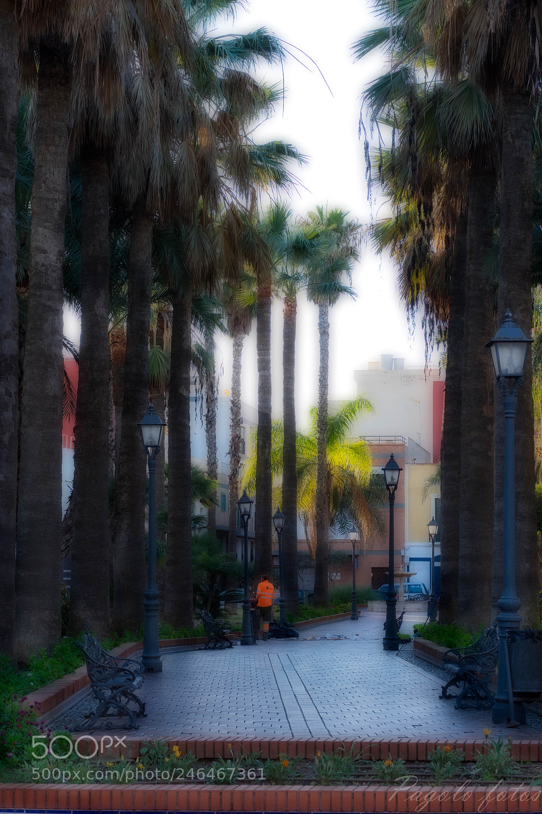 Fujifilm X-T1 sample photo. El parque encantado photography