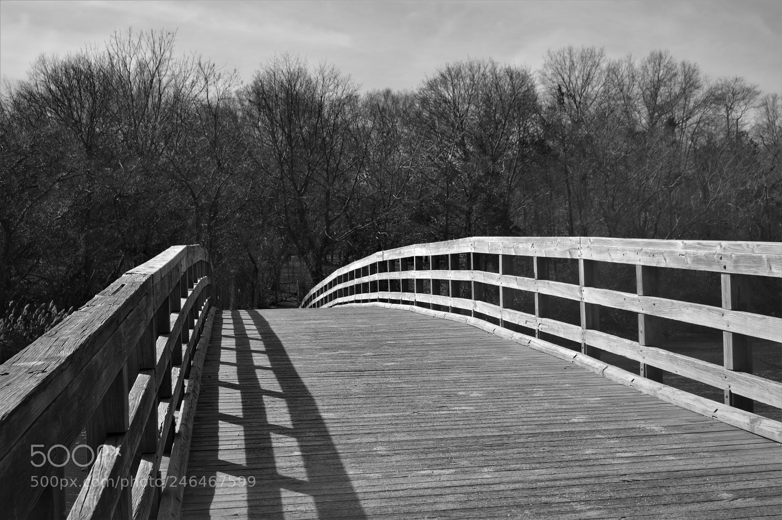 Nikon D3200 sample photo. Bridge over photography