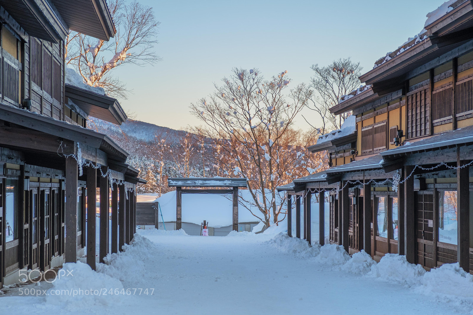 Fujifilm X-T20 sample photo. Niseko village photography
