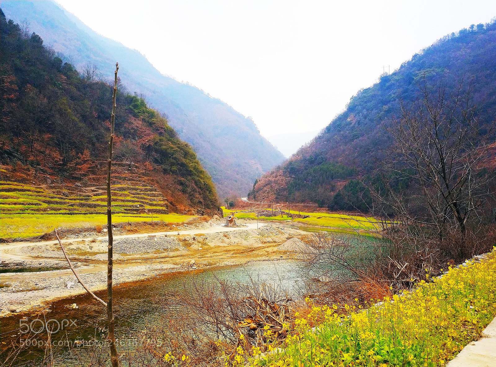 Xiaomi MIX 2 sample photo. Spring scene on road photography