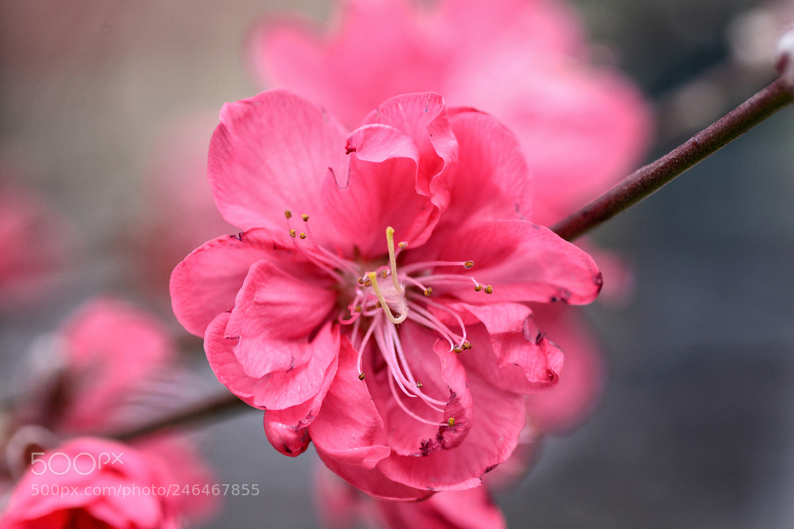 Nikon D7100 sample photo. Untitled photography