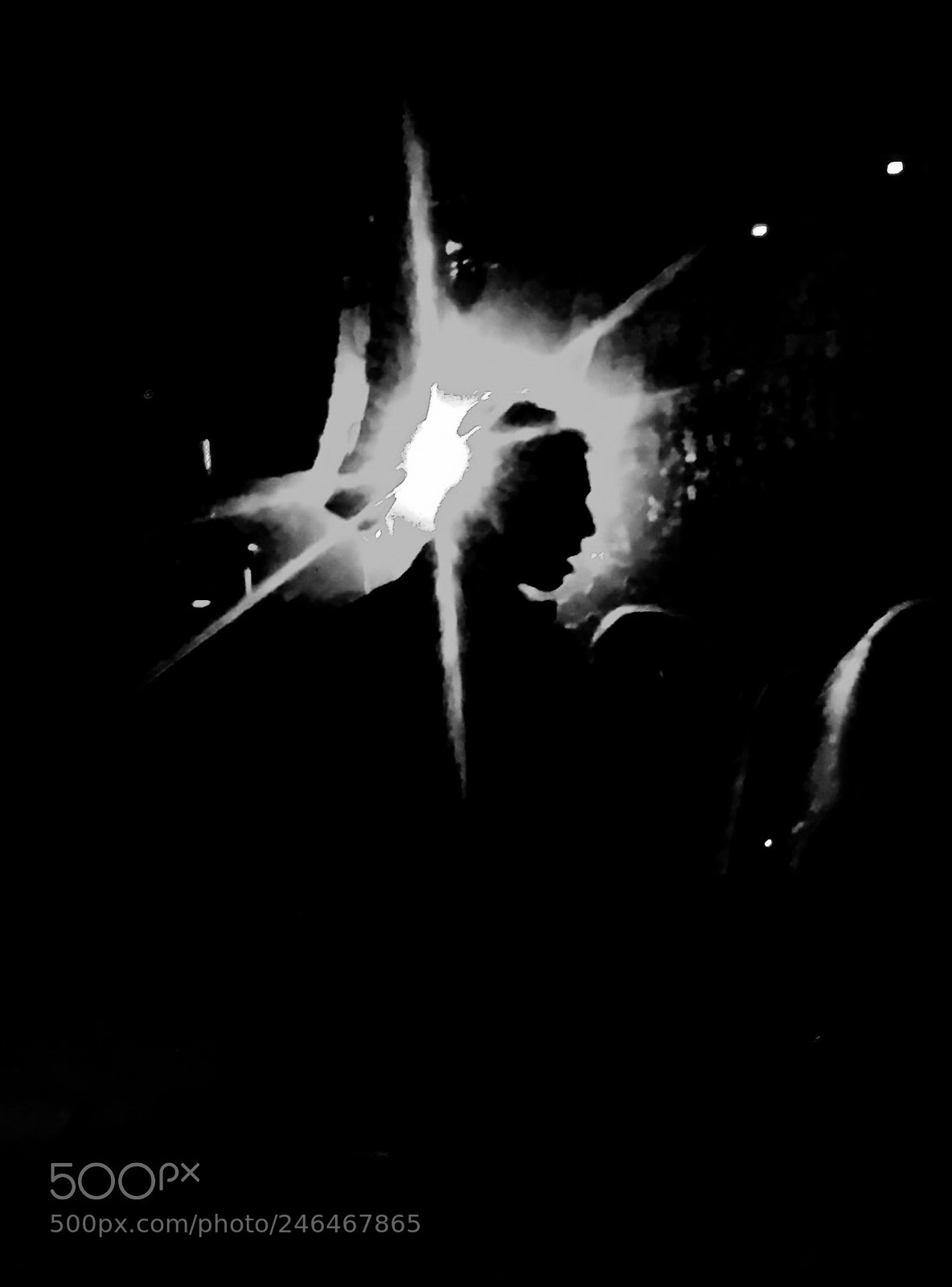 Apple iPhone 6 sample photo. Cage the elephant photography