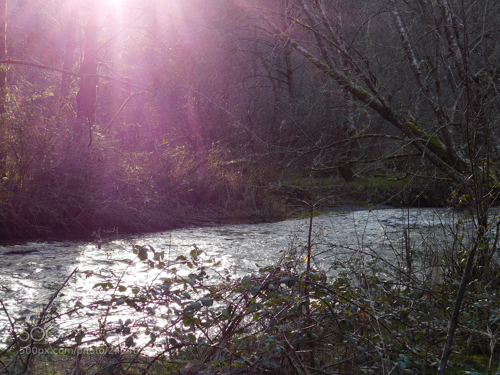 Nikon Coolpix B500 sample photo. Sun on creek university photography