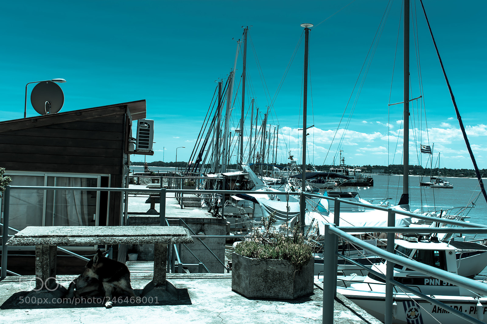 Nikon D7100 sample photo. Guardian photography
