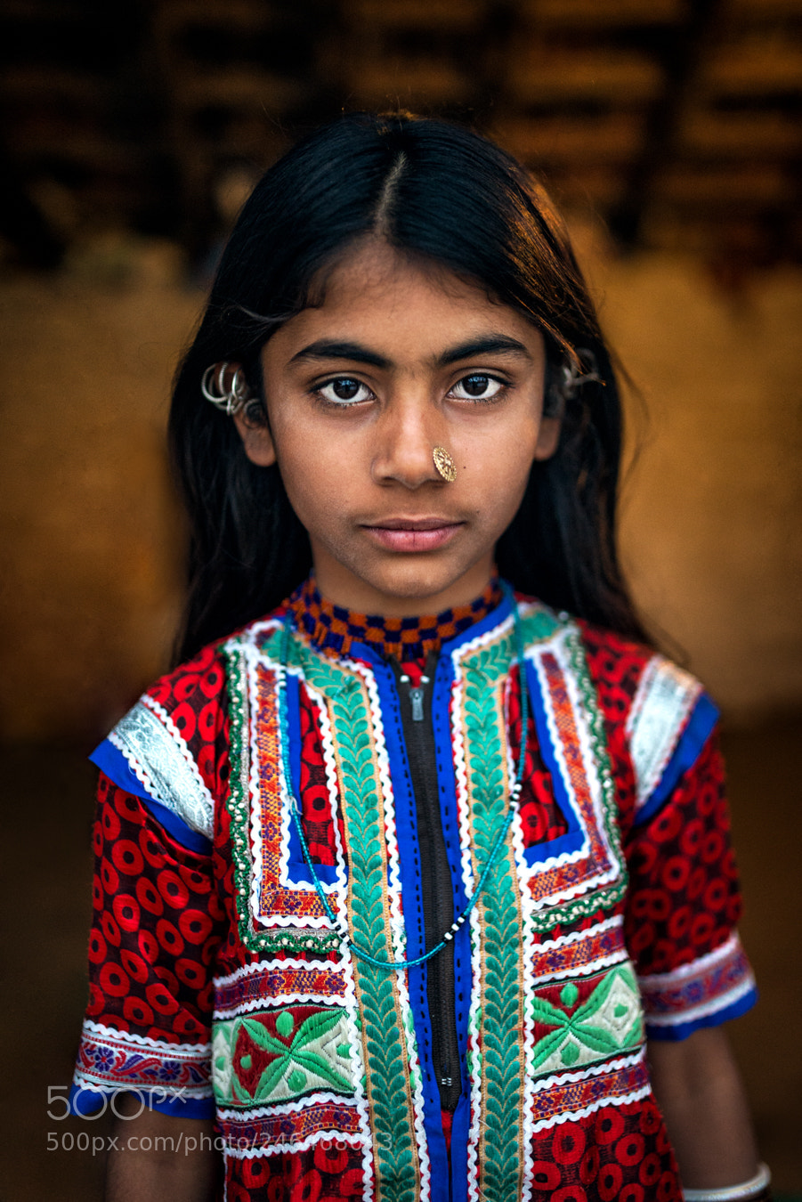 Nikon D600 sample photo. #1/365 - gujarat - india photography