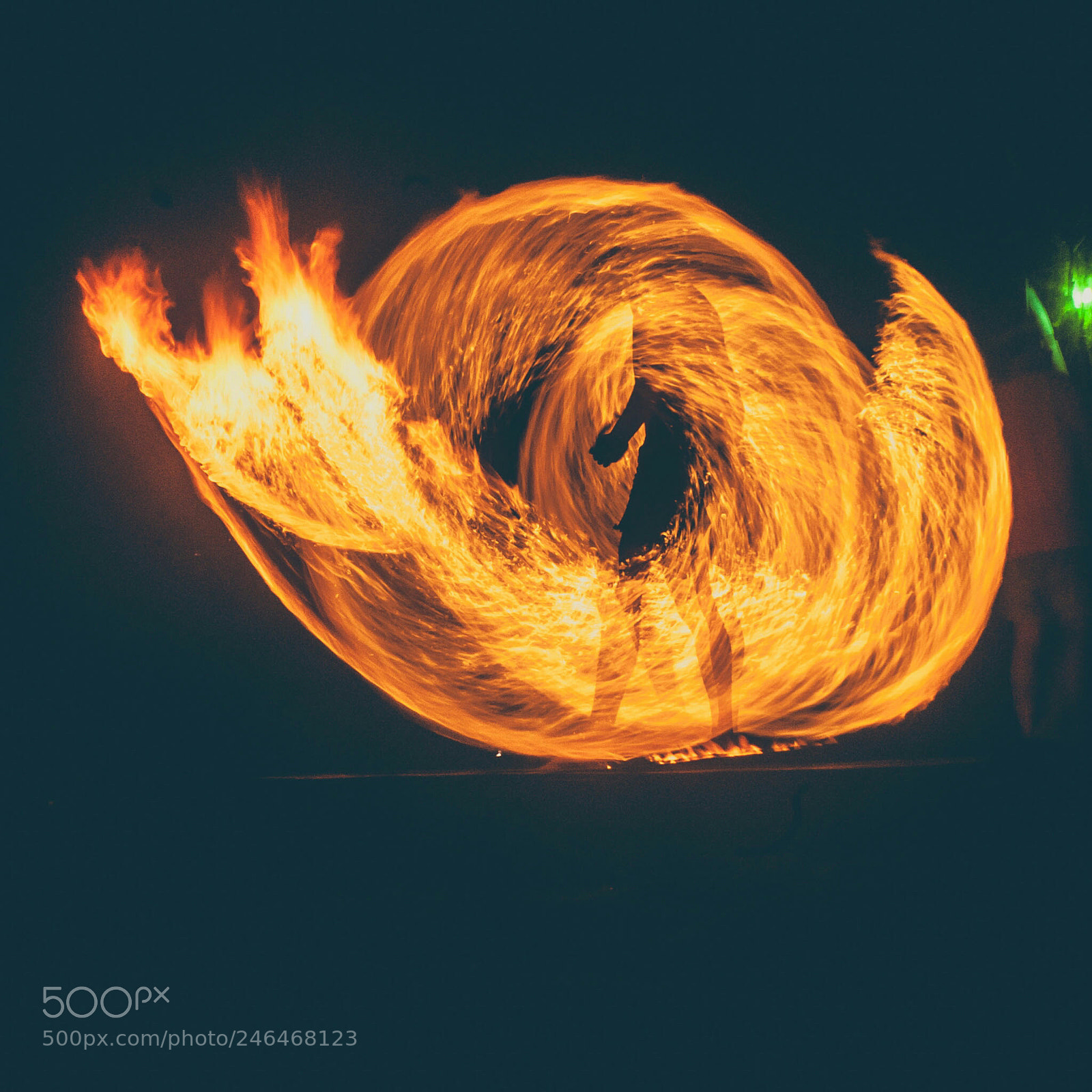Nikon D200 sample photo. Immolation photography