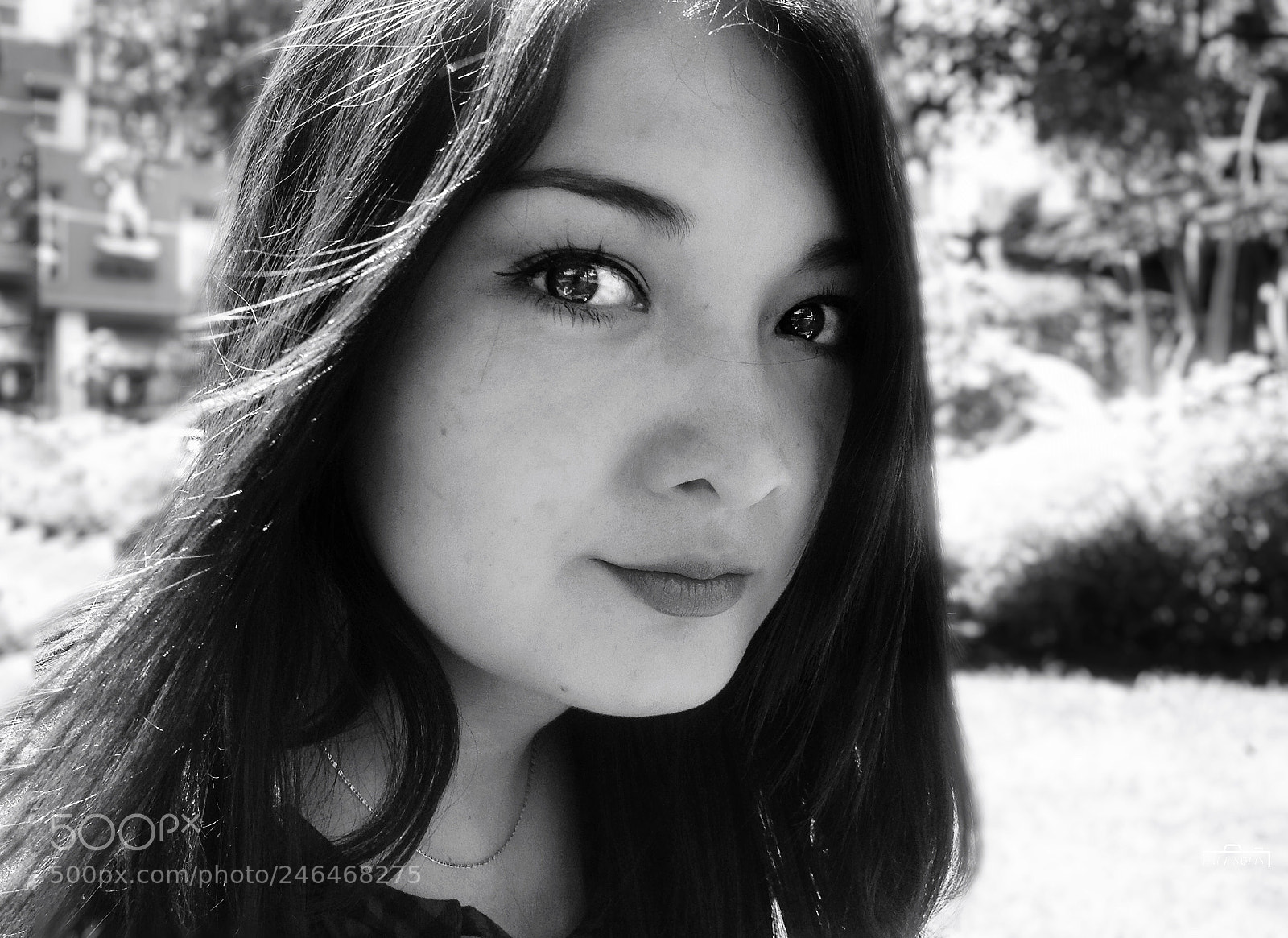 Apple iPad sample photo. Untitled photography