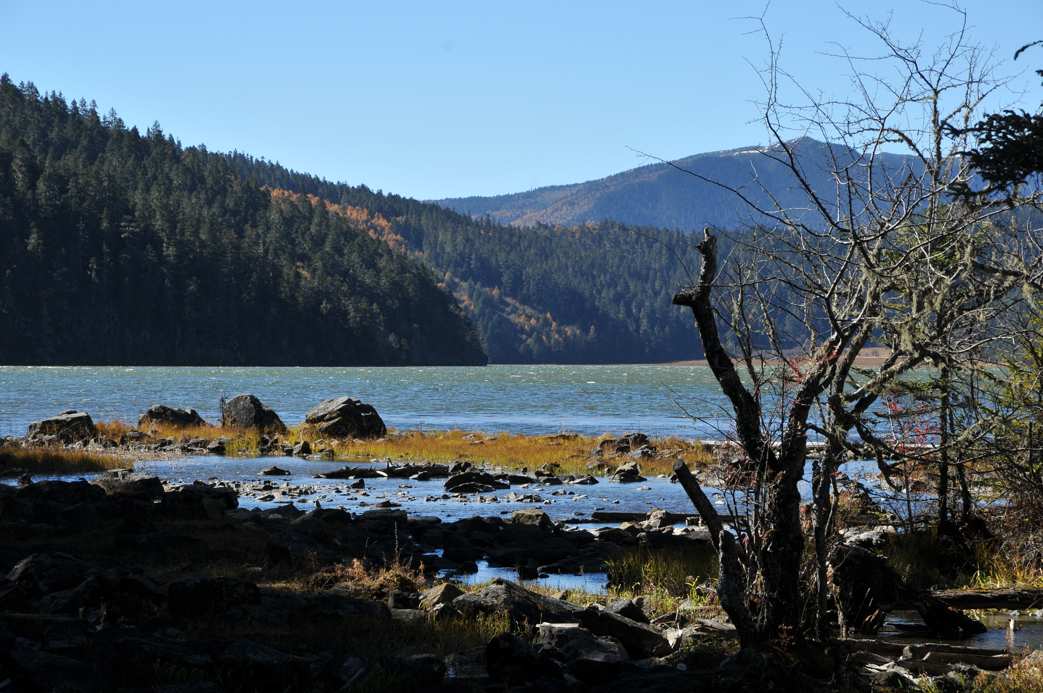 Nikon D300 sample photo