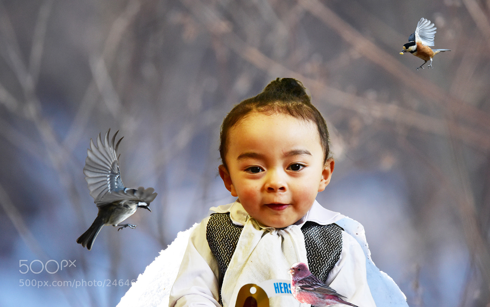Nikon D810 sample photo. Untitled photography