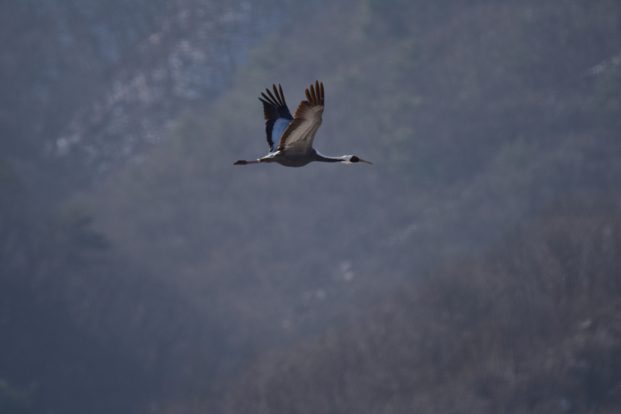 Nikon D810 sample photo