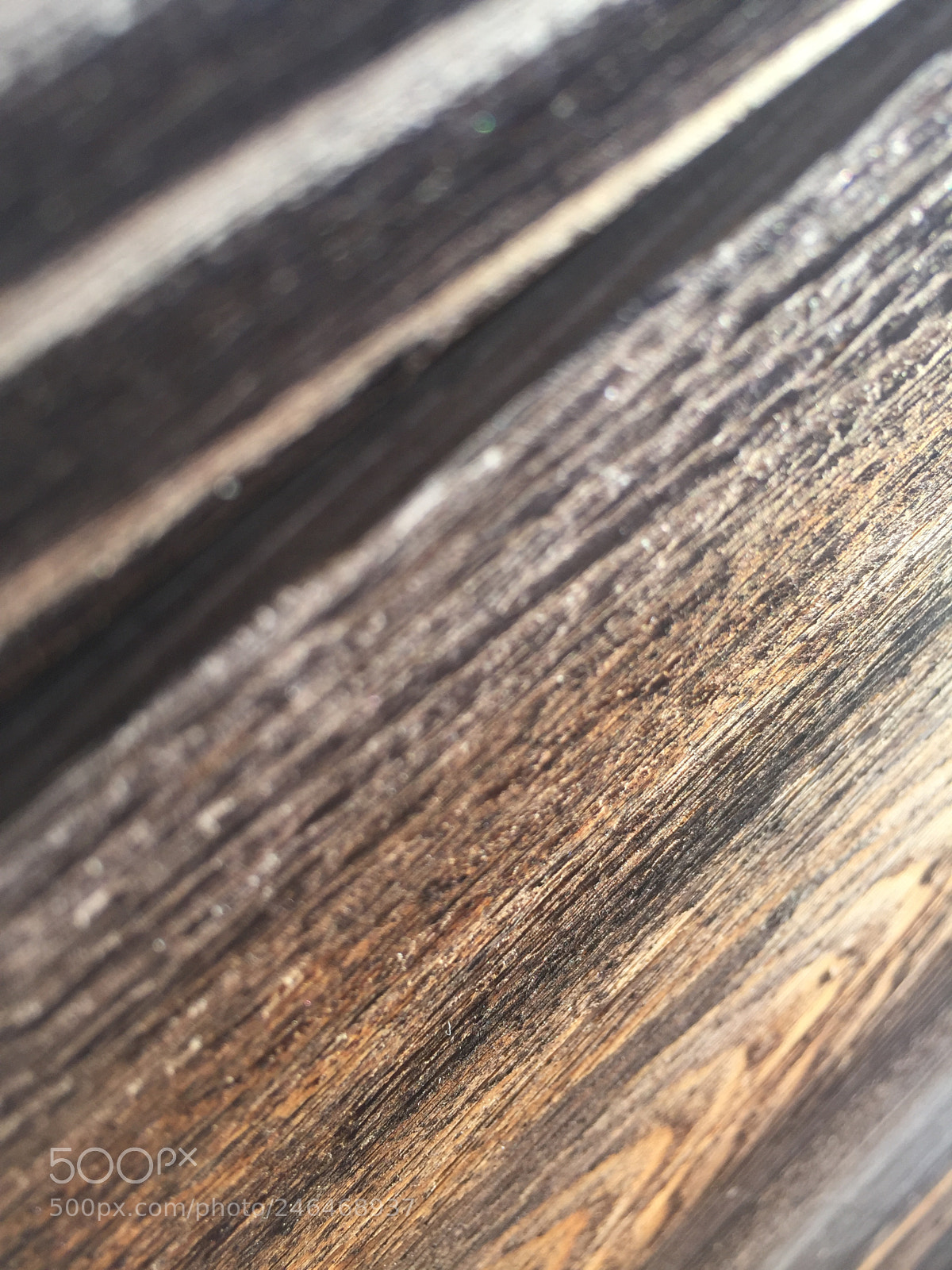 Apple iPhone 6 sample photo. Untitled photography