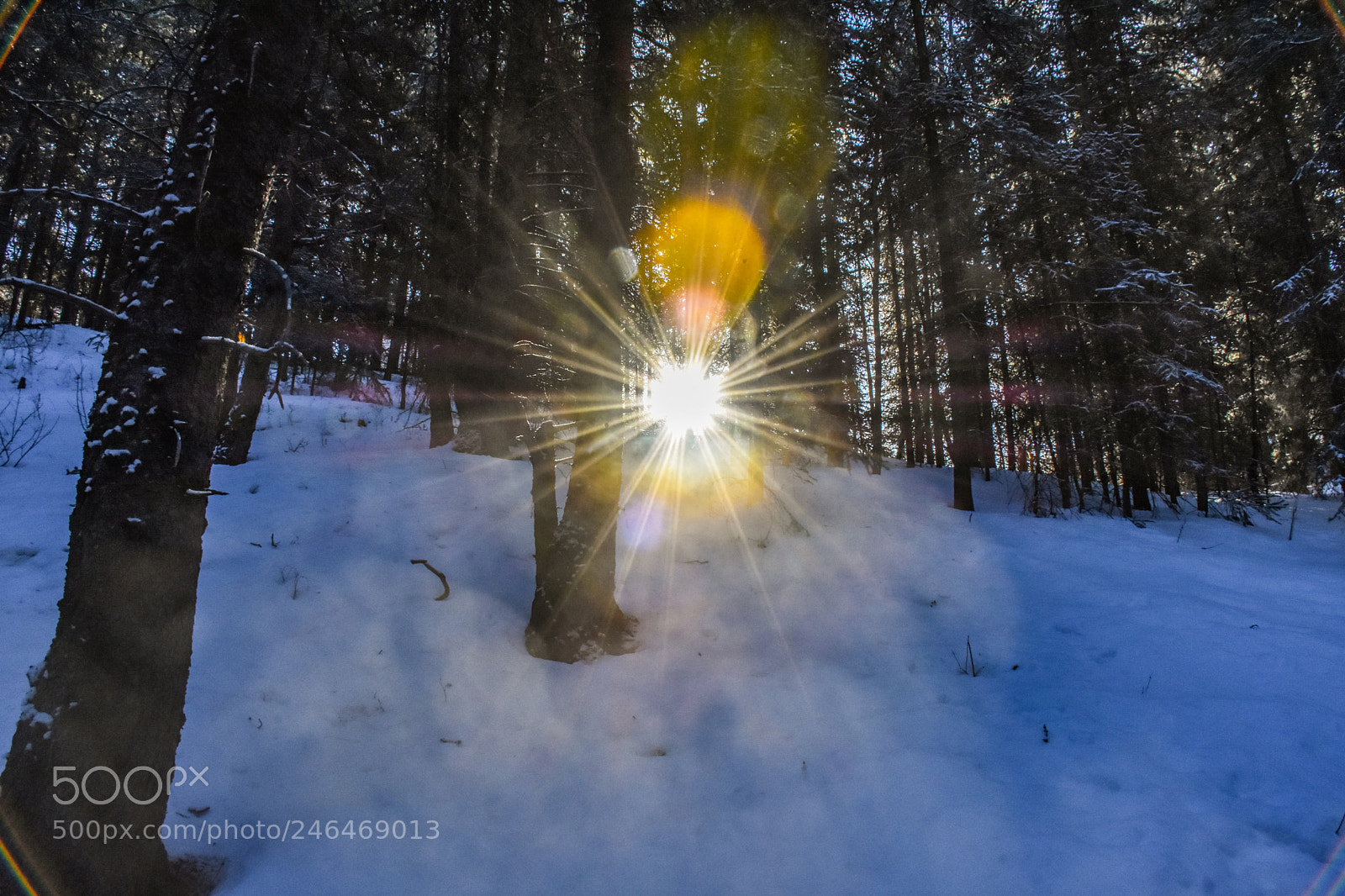 Nikon D7200 sample photo. Like for sunny photography