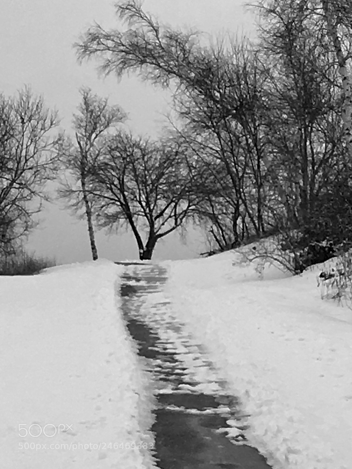 Apple iPhone 6s Plus sample photo. Winter path... photography