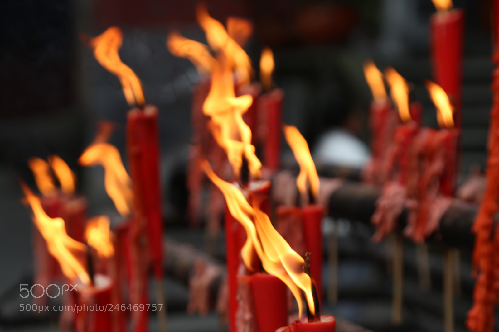 Canon EOS 6D + Canon EF 24-105mm F4L IS USM sample photo. Ci photography
