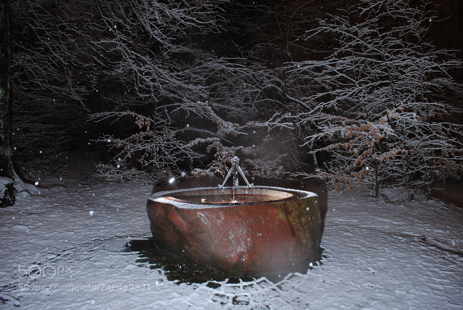 Nikon D3000 sample photo. Der brunnen im wald photography