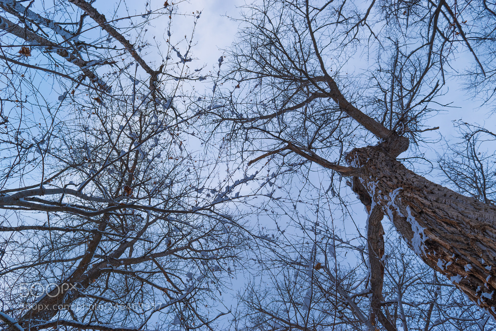Nikon D5500 sample photo. Try a new perspective photography