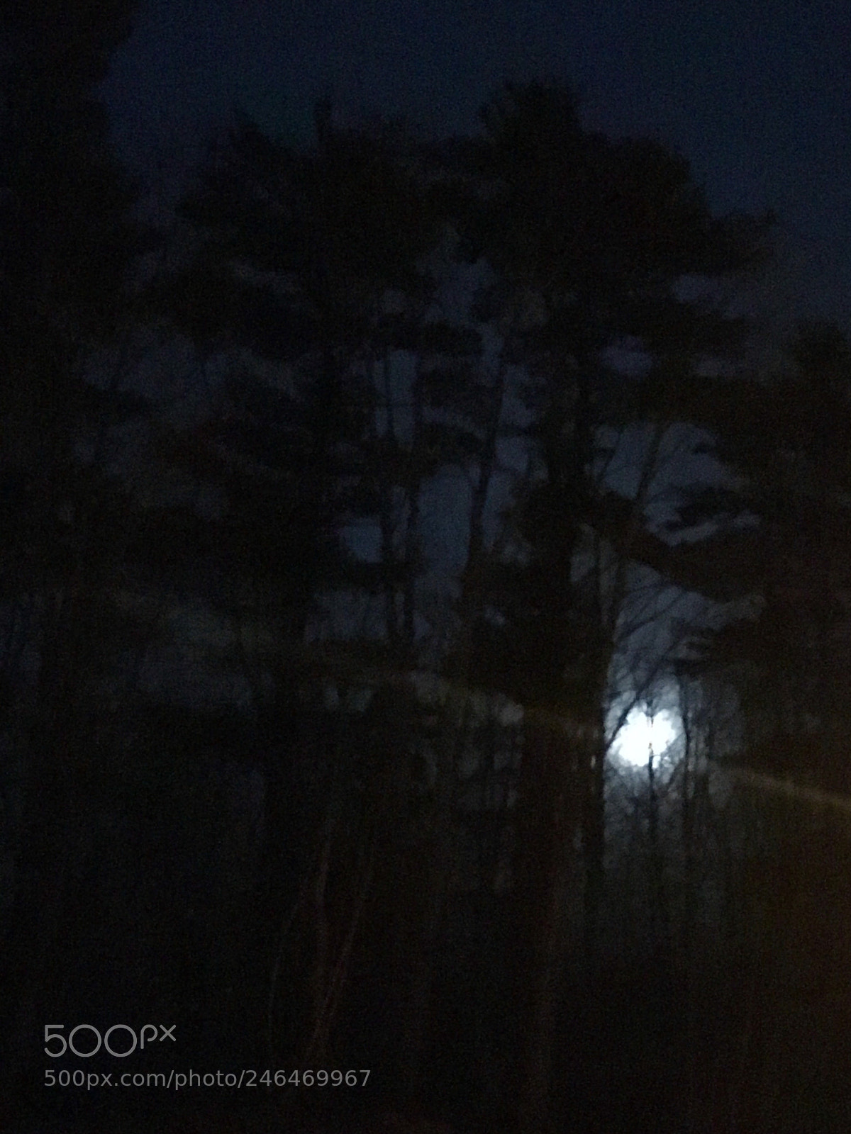 Apple iPhone 6s Plus sample photo. Full of moonshine... photography
