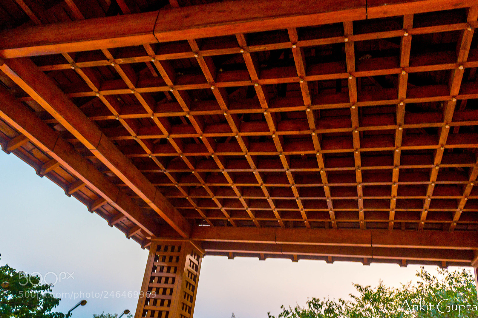 Canon EOS 700D (EOS Rebel T5i / EOS Kiss X7i) sample photo. Pattern photography