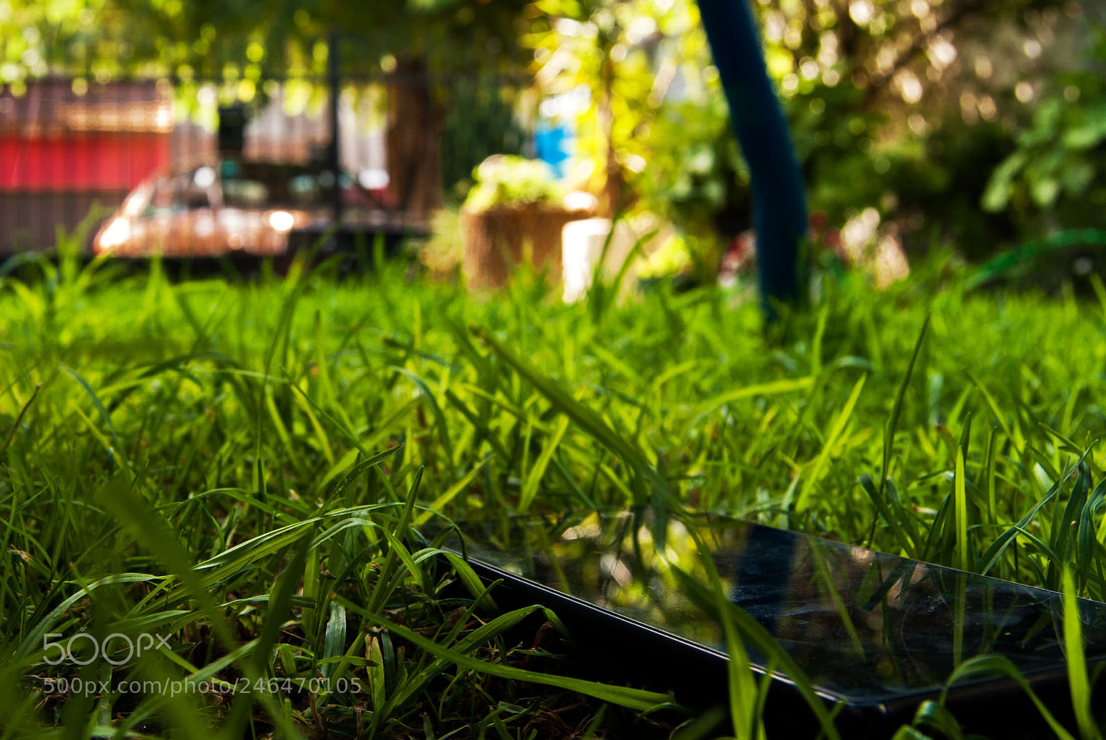 Nikon D40X sample photo. El patio sagrado photography