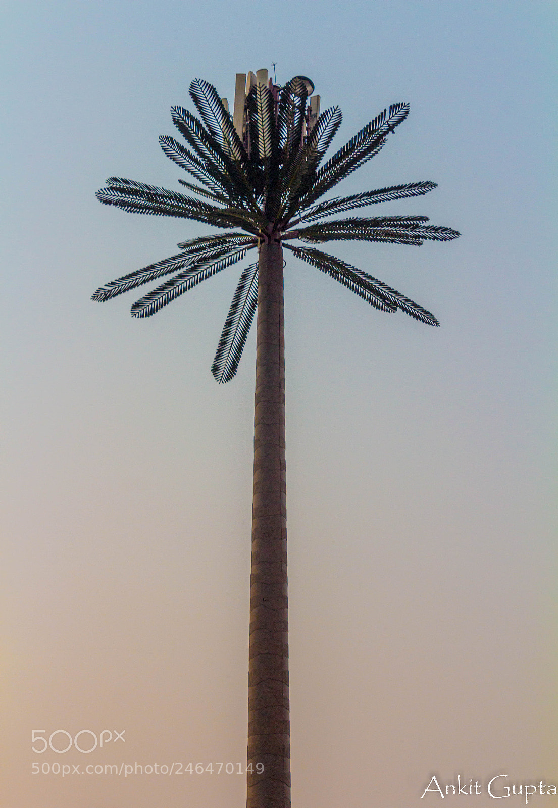 Canon EOS 700D (EOS Rebel T5i / EOS Kiss X7i) sample photo. Structure photography