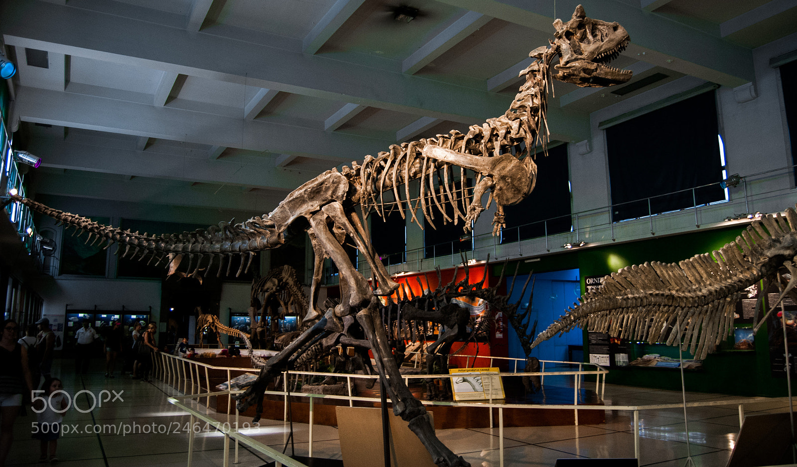 Nikon D40X sample photo. Dinosaurio photography