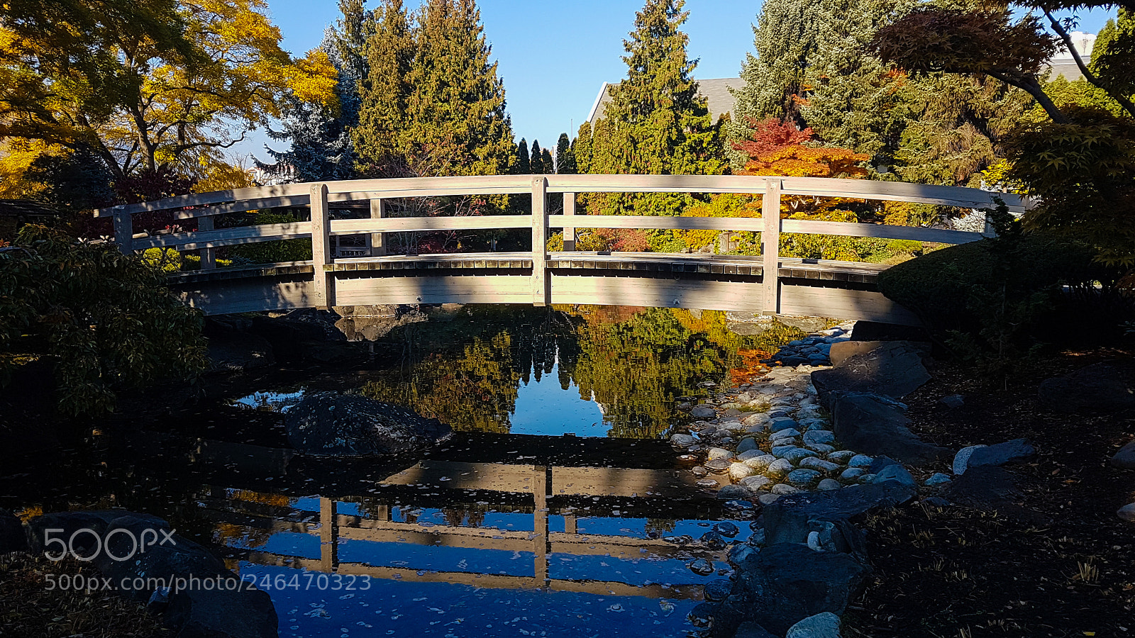 Samsung Galaxy S7 sample photo. Japanese garden photography