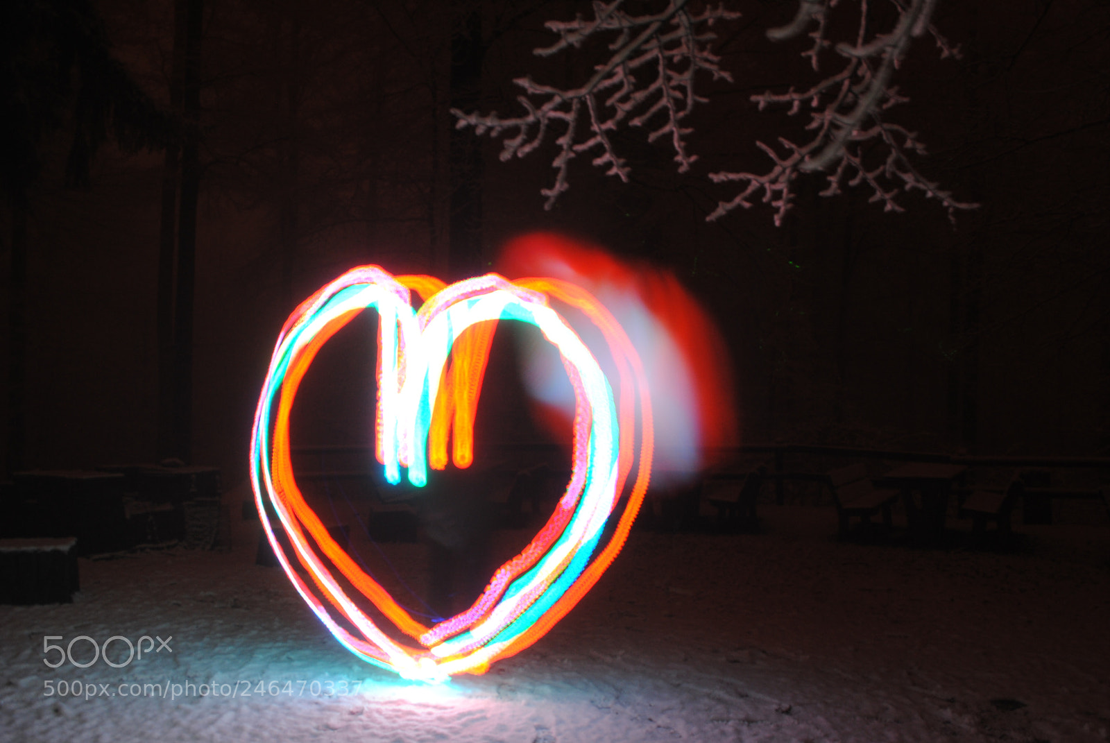 Nikon D3000 sample photo. Das herz aus dem photography