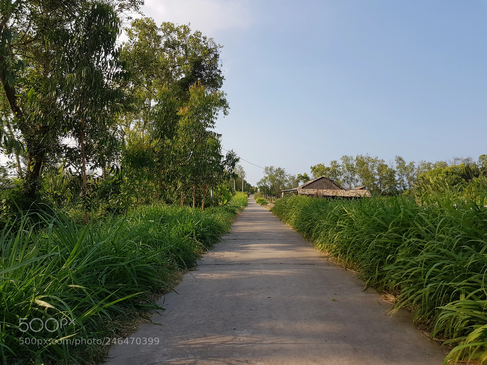 Samsung Galaxy S8+ sample photo. Untitled photography