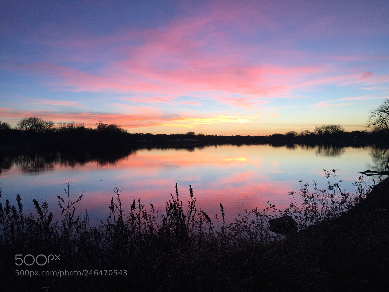 Apple iPhone 6 sample photo. Grey’s lake photography