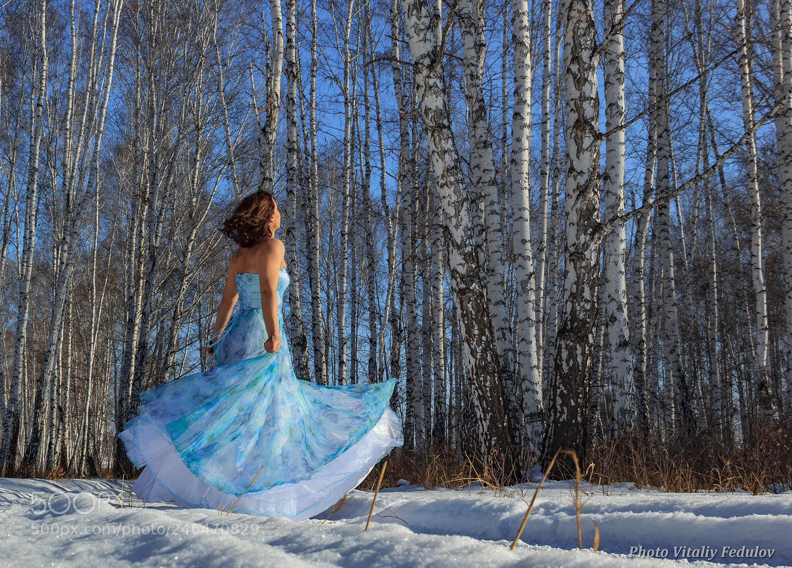 Canon EOS 60D sample photo. Зимняя прогулка photography