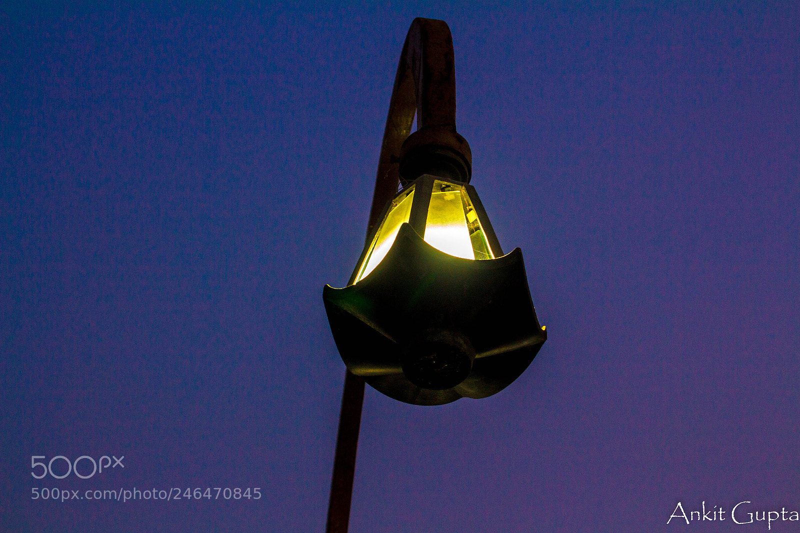 Canon EOS 700D (EOS Rebel T5i / EOS Kiss X7i) sample photo. Lamp photography