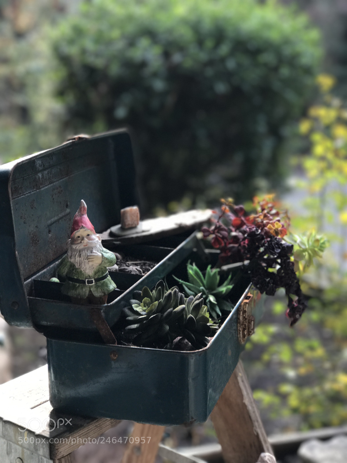 Apple iPhone 7 Plus sample photo. Gnome in mother s photography