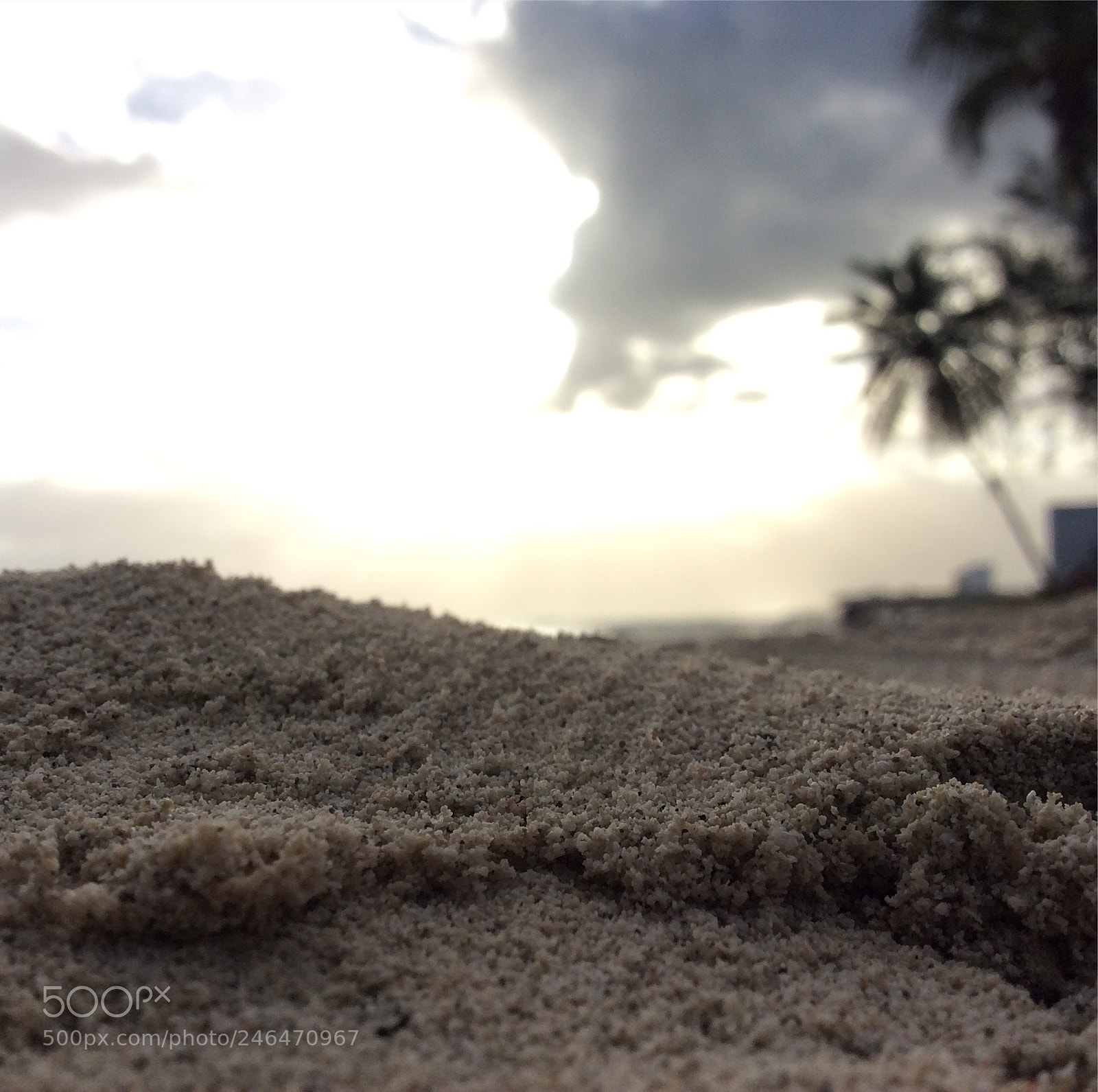Apple iPad Air sample photo. Untitled photography