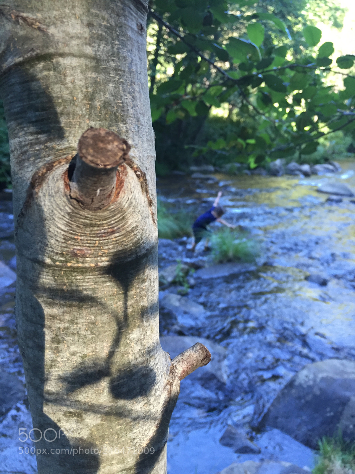 Apple iPhone 6 sample photo. Don t fall in photography