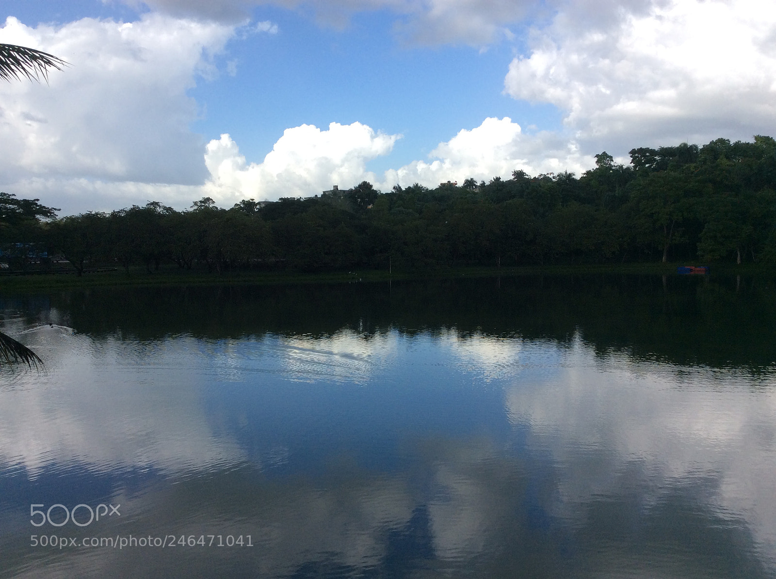 Apple iPad Air sample photo. Untitled photography