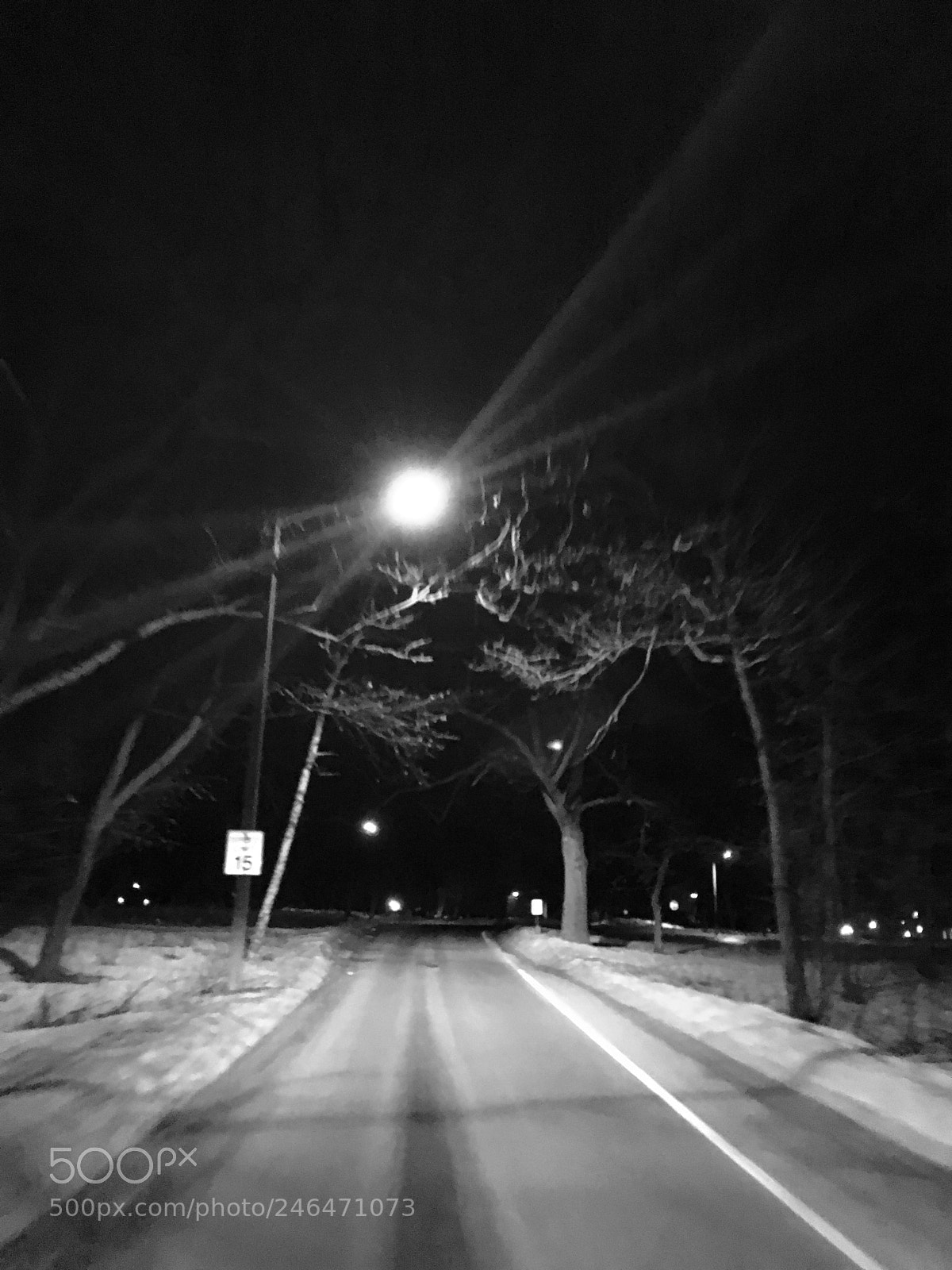 Apple iPhone 6s Plus sample photo. Night vision... photography